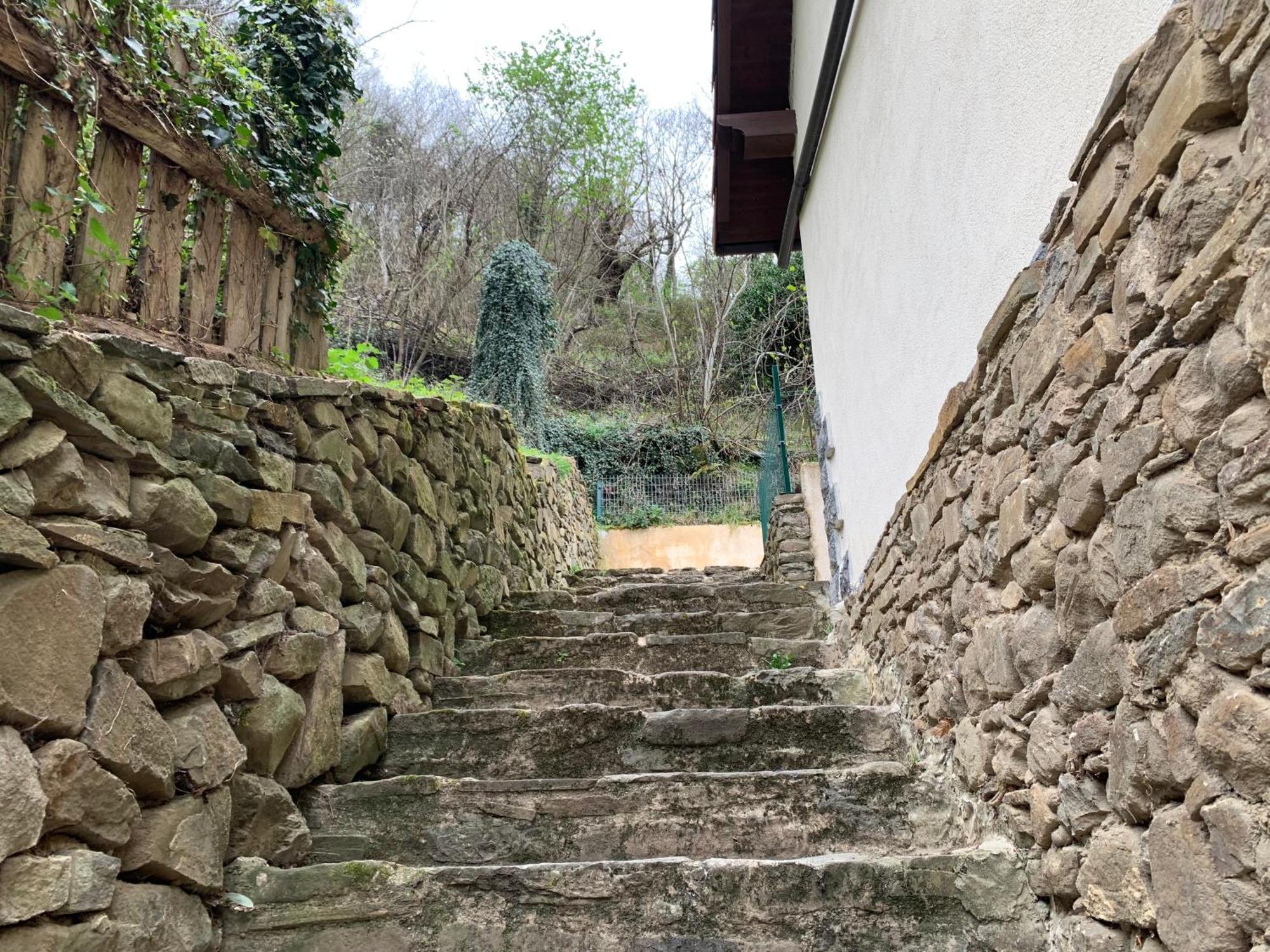 Casa Rural En Santa Cruz-Mieres Bustiello  外观 照片