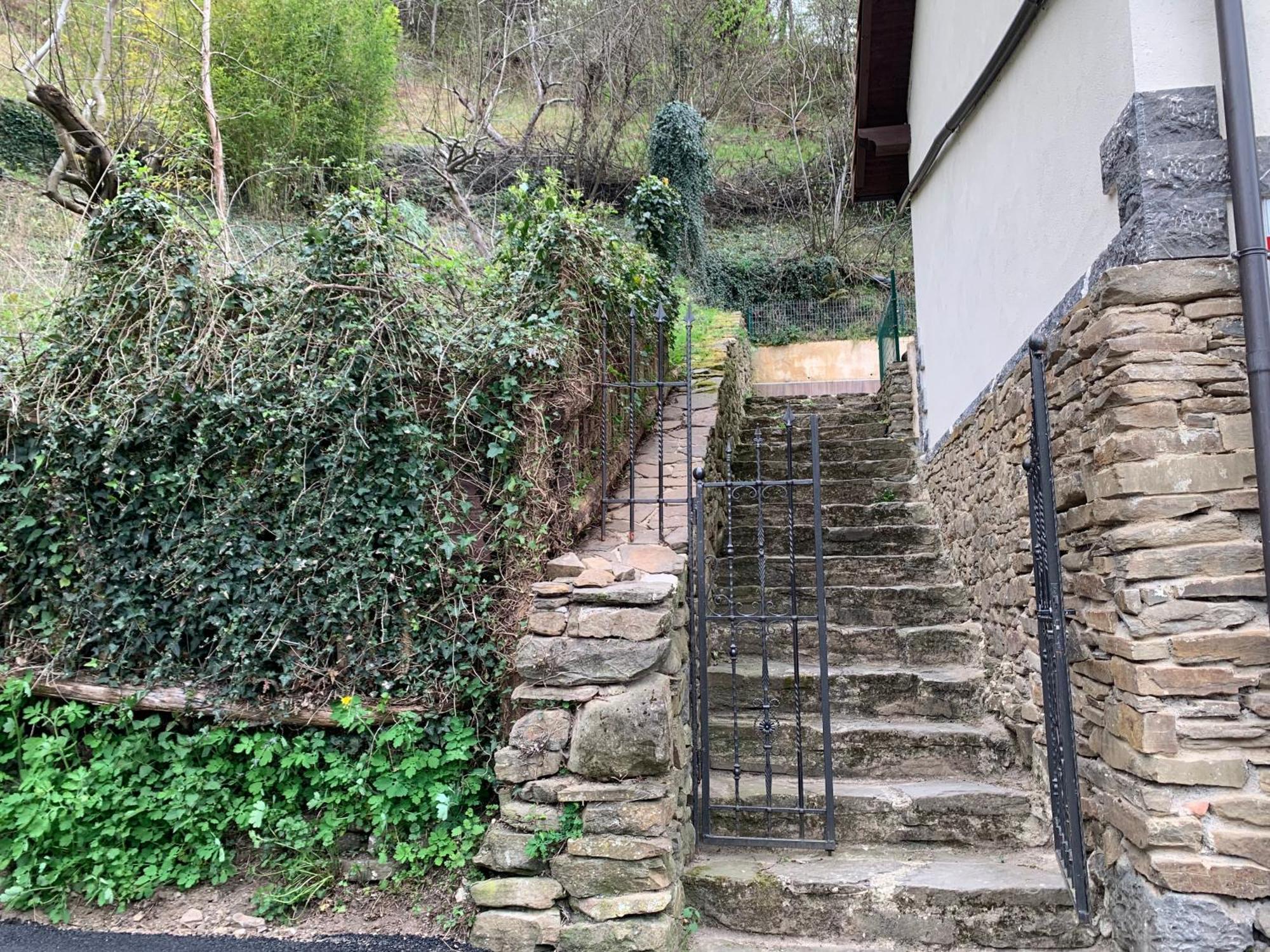 Casa Rural En Santa Cruz-Mieres Bustiello  外观 照片